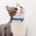 Load image into Gallery viewer, BirdsBeSafe Full Stretch Breakaway Cat Collar + Bell | Reflective
