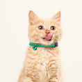 Load image into Gallery viewer, BirdsBeSafe Full Stretch Breakaway Cat Collar + Bell | Reflective
