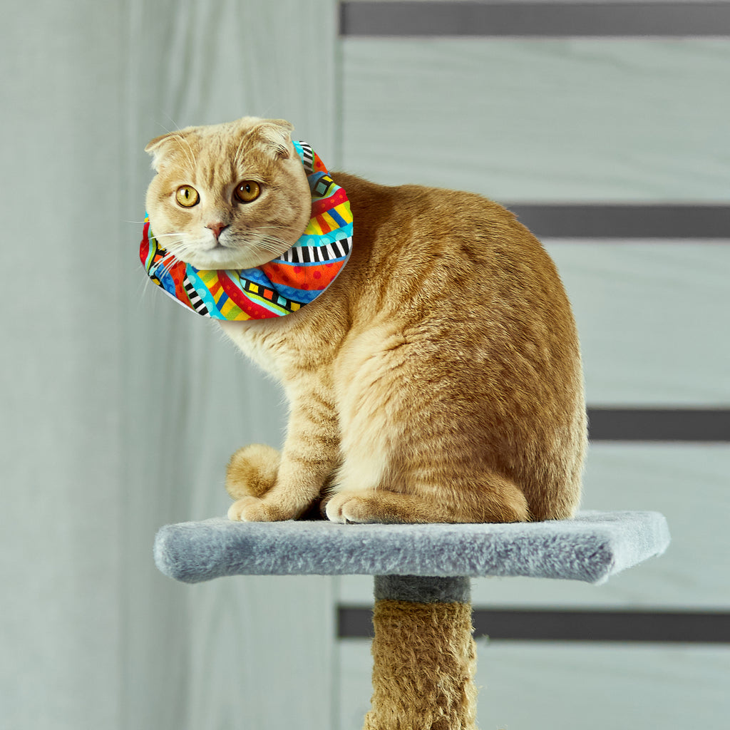 Funky Birdsbesafe® Collar Cover