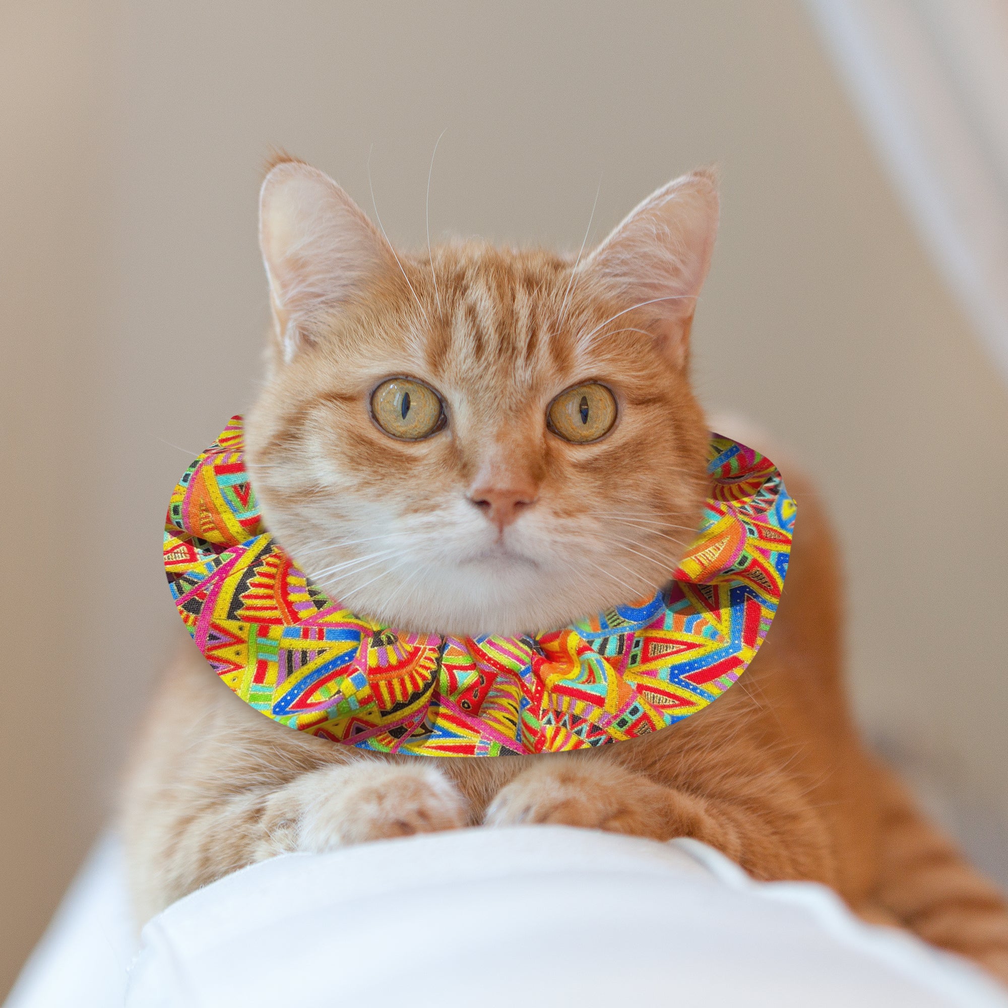 Geodelic Birdsbesafe ® Collar Cover