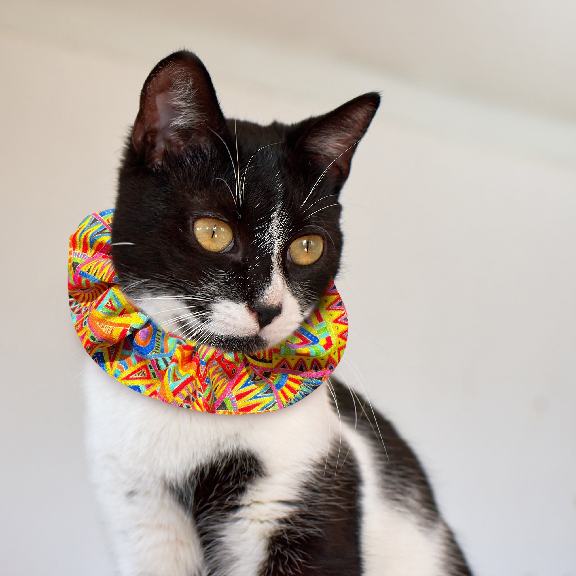 Geodelic Birdsbesafe ® Collar Cover