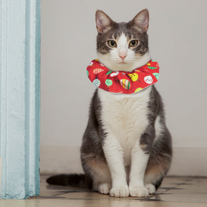 Holiday Cheer Birdsbesafe® Collar Cover