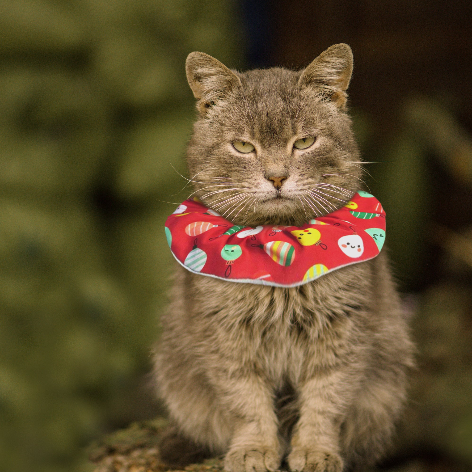Holiday Cheer Birdsbesafe® Collar Cover