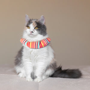 Birdsbesafe® Collar Cover - Long-haired Cat Style