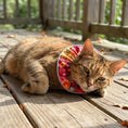 Load image into Gallery viewer, Paint Loops Birdsbesafe ® Collar Cover
