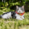 Load image into Gallery viewer, Paint Loops Birdsbesafe ® Collar Cover
