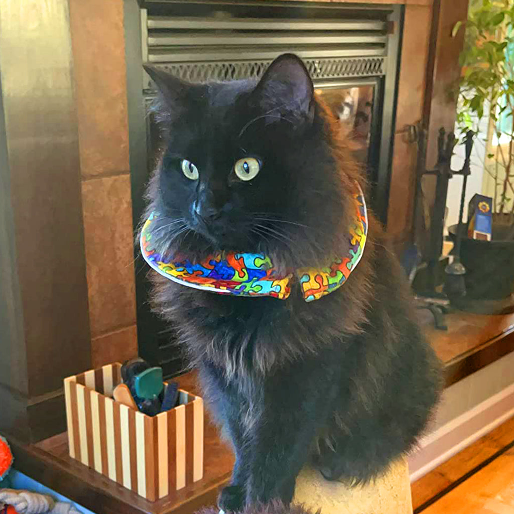 Puzzle Birdsbesafe ® Collar Cover