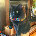 Load image into Gallery viewer, Puzzle Birdsbesafe ® Collar Cover
