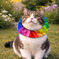 Load image into Gallery viewer, Rainbow Billy Birdsbesafe ® Collar Cover
