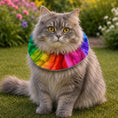 Load image into Gallery viewer, Rainbow Billy Birdsbesafe ® Collar Cover - Long-Haired Cat Style

