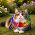 Load image into Gallery viewer, Rainbow Billy Birdsbesafe ® Collar Cover - Long-Haired Cat Style

