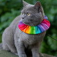 Load image into Gallery viewer, Rainbow Charlie Birdsbesafe ® Collar Cover
