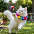 Load image into Gallery viewer, Rainbow Charlie Birdsbesafe ® Collar Cover - Long-Haired Cat Style
