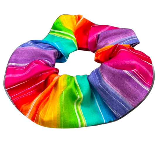 Rainbow Charlie Birdsbesafe ® Collar Cover