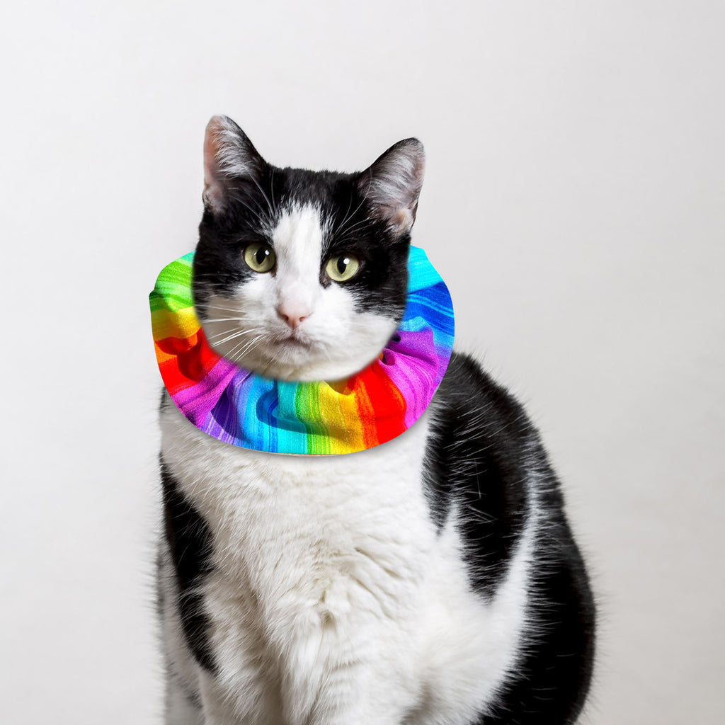 Rainbow Sally Birdsbesafe ® Collar Cover