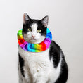 Load image into Gallery viewer, Rainbow Sally Birdsbesafe ® Collar Cover
