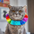Load image into Gallery viewer, Rainbow Sally Birdsbesafe ® Collar Cover

