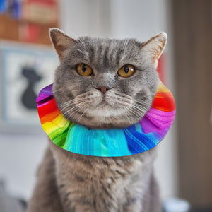 Rainbow Sally Birdsbesafe ® Collar Cover