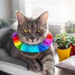 Rainbow Sally Birdsbesafe ® Collar Cover