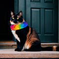 Load image into Gallery viewer, Rainbow Sally Birdsbesafe ® Collar Cover - Long-Haired Cat Style
