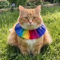 Load image into Gallery viewer, Rainbow Sally Birdsbesafe ® Collar Cover - Long-Haired Cat Style
