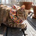 Load image into Gallery viewer, Rainbow Sprinkles Birdsbesafe ® Collar Cover
