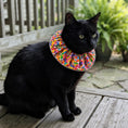 Load image into Gallery viewer, Rainbow Sprinkles Birdsbesafe ® Collar Cover
