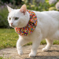 Load image into Gallery viewer, Rainbow Sprinkles Birdsbesafe ® Collar Cover
