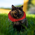 Load image into Gallery viewer, Red Ruby Birdsbesafe ® Collar Cover
