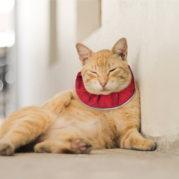 Red Ruby Birdsbesafe® Collar Cover