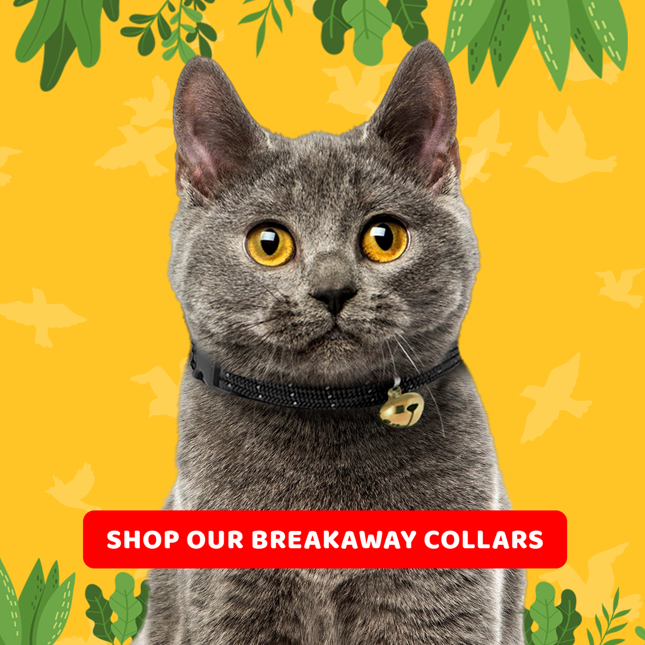 Shop Our Breakaway Collars for Earth Day