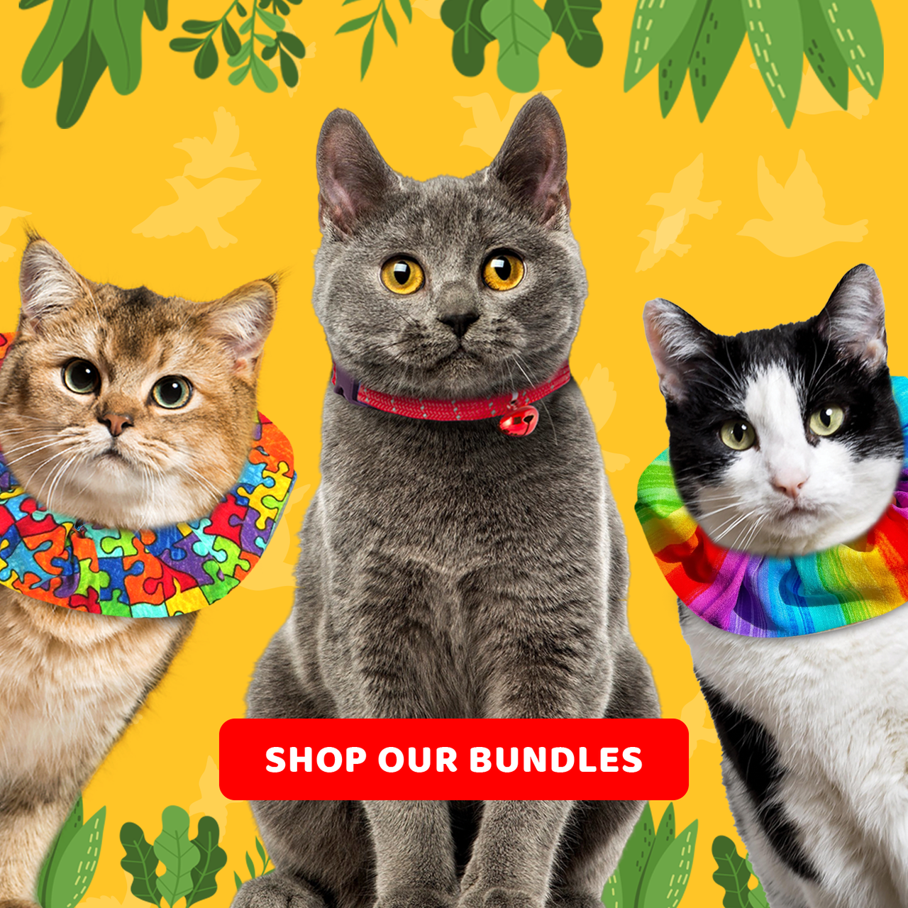Shop Our Bundles for Earth Day