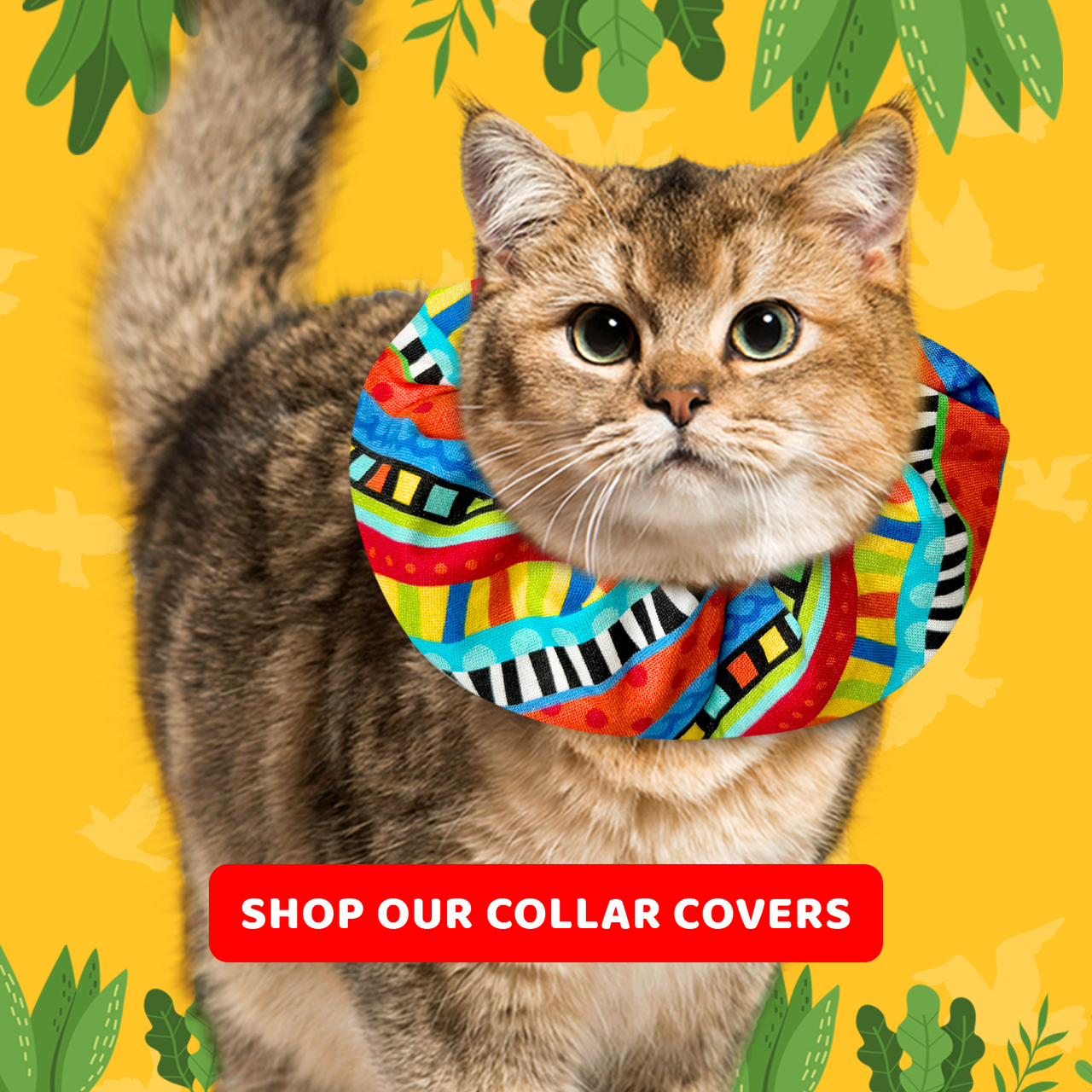 Shop Our Collar Covers for Earth Day