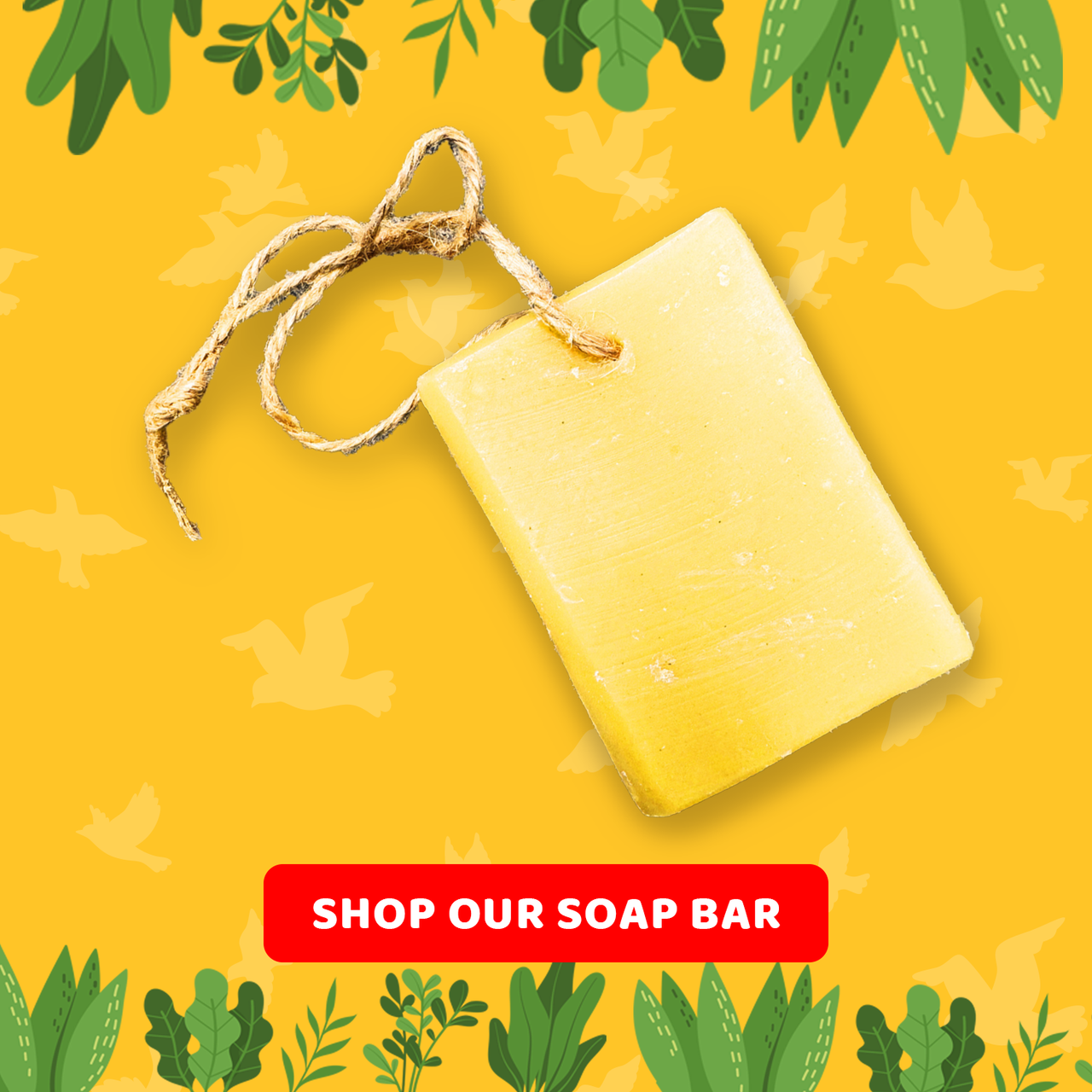Shop Our Soap Bar for Earth Day
