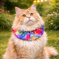 Load image into Gallery viewer, Suzy Swirls Birdsbesafe ® Collar Cover - Long-Haired Cat Style
