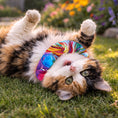 Load image into Gallery viewer, Suzy Swirls Birdsbesafe ® Collar Cover - Long-Haired Cat Style
