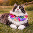 Load image into Gallery viewer, Suzy Swirls Birdsbesafe ® Collar Cover - Long-Haired Cat Style
