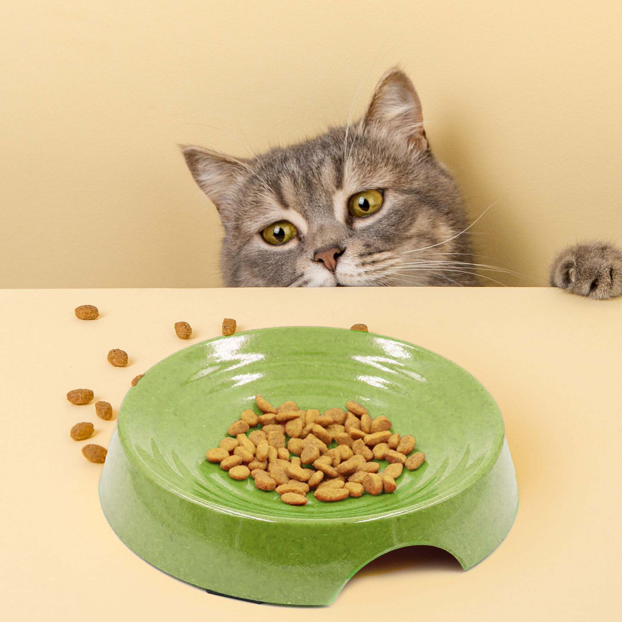 Whisker Friendly Bamboo Cat Bowl