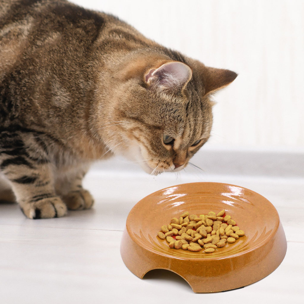 Whisker Friendly Bamboo Cat Bowl