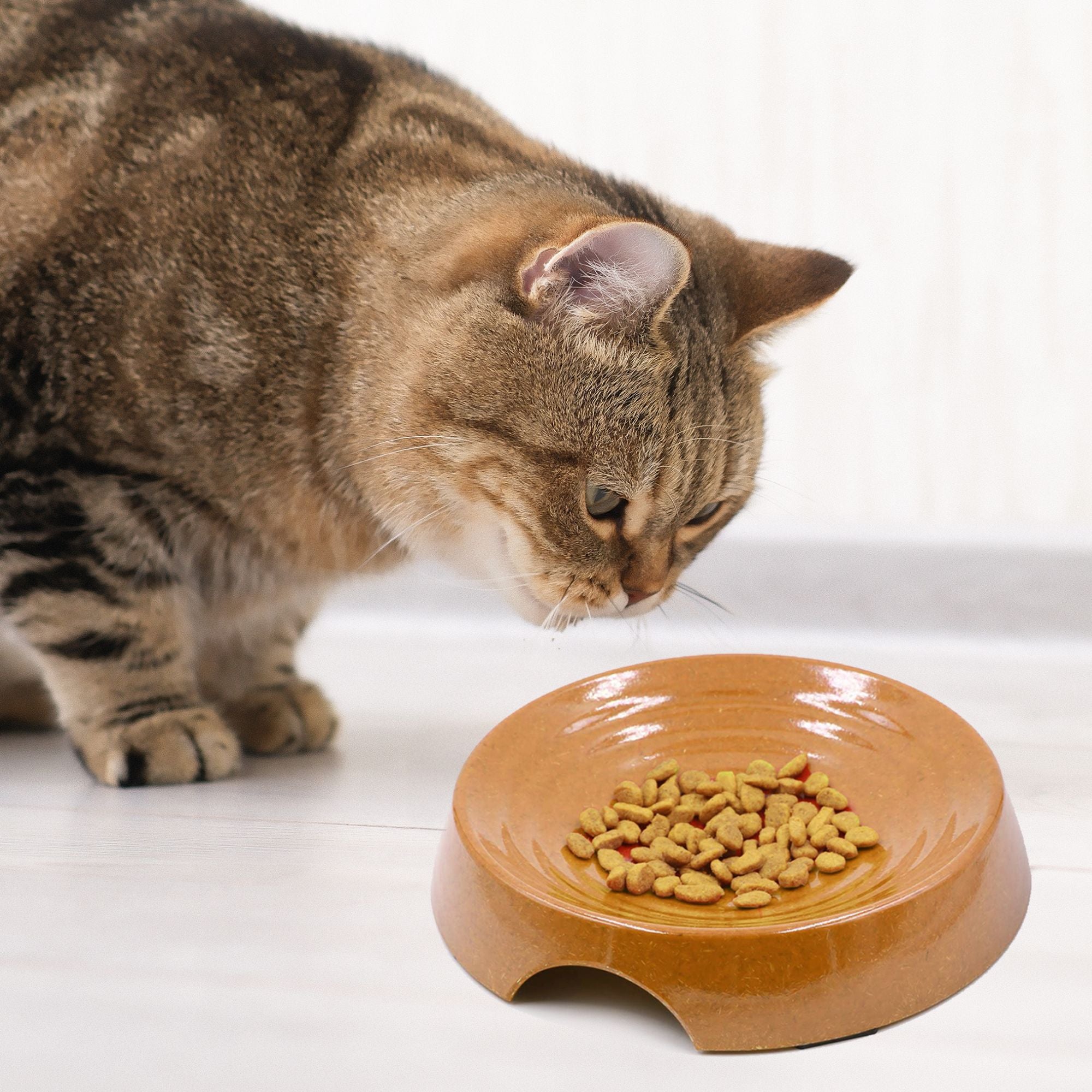 Whisker Friendly Bamboo Cat Bowl