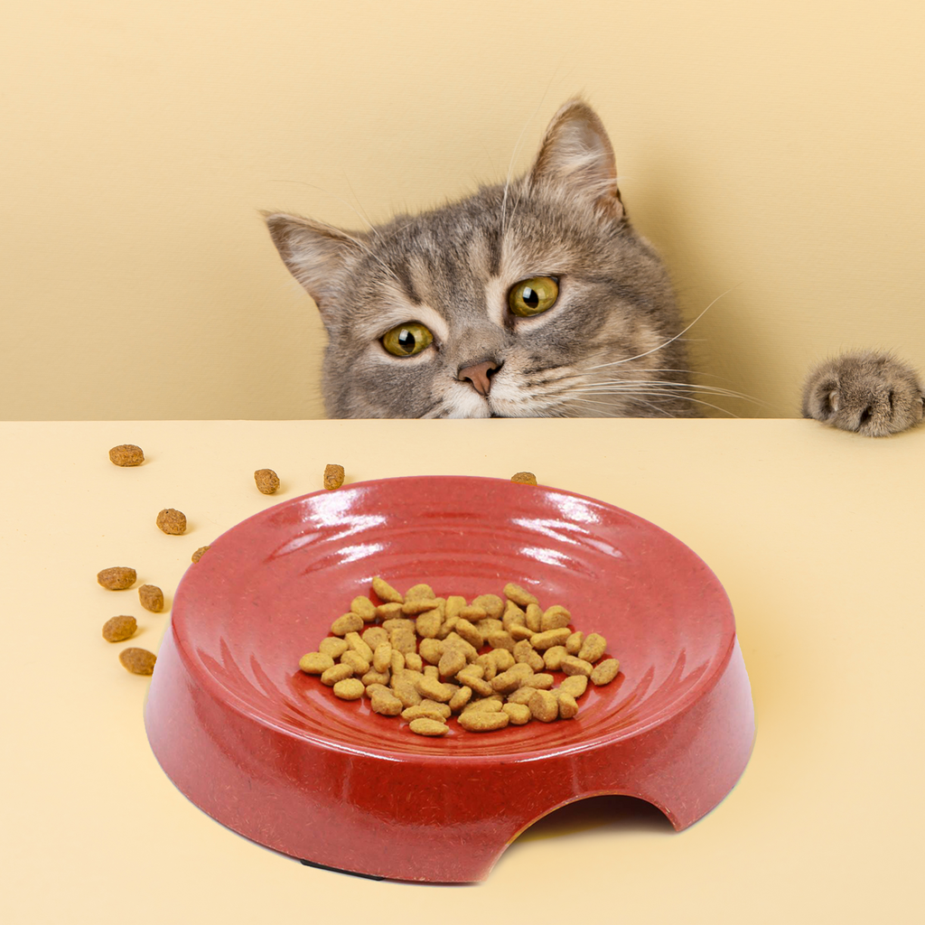 Whisker Friendly Bamboo Cat Bowl