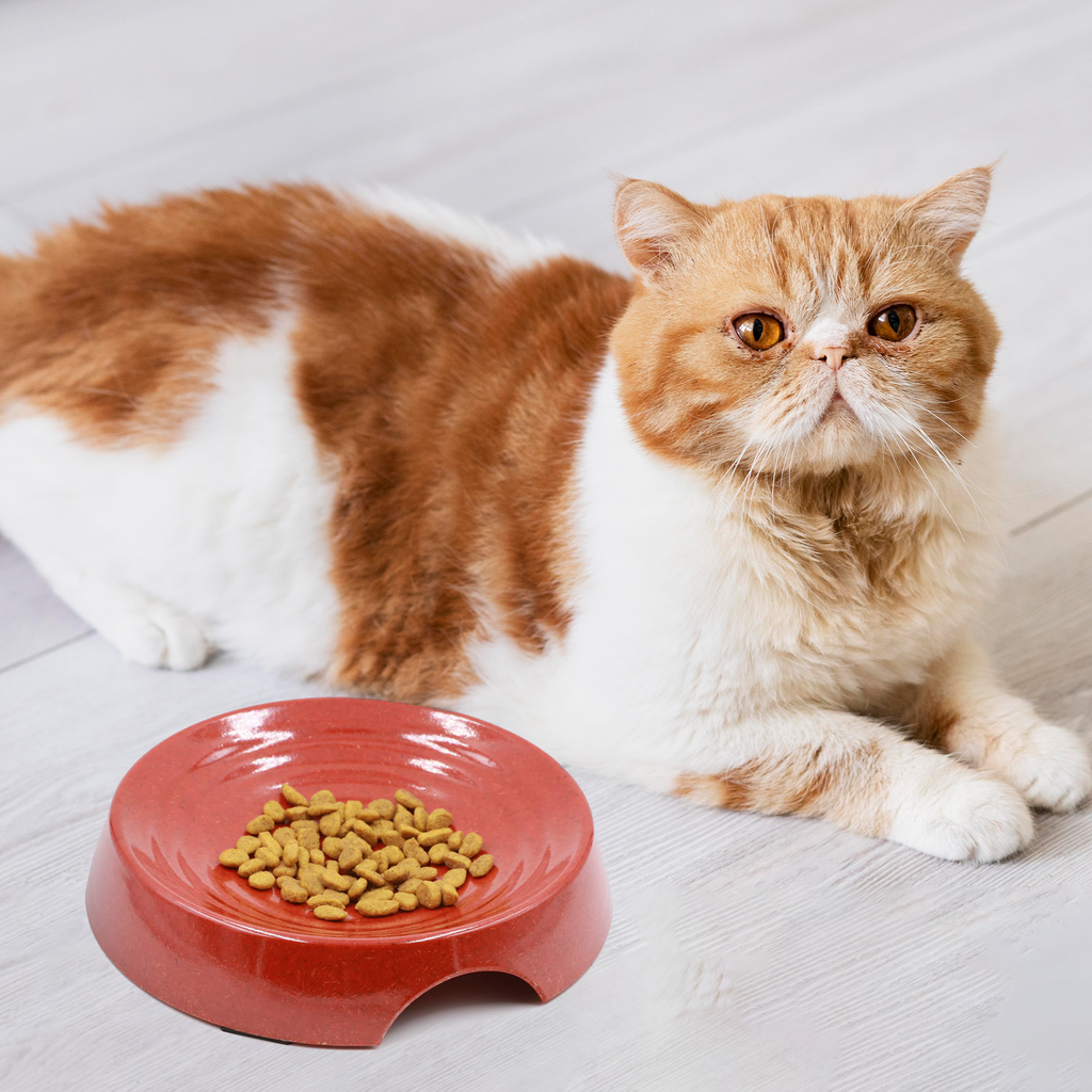 Whisker Friendly Bamboo Cat Bowl