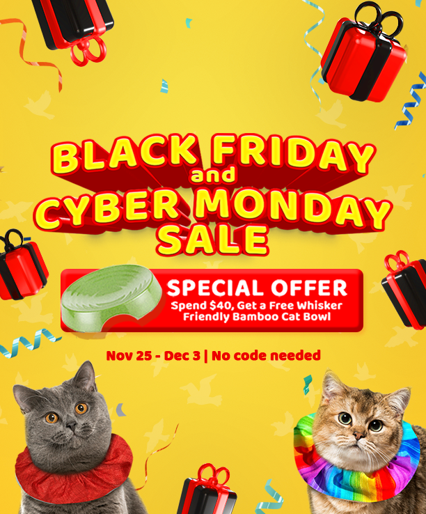 Black Friday and Cyber Monday Sale: Free Whisker-Friendly Bamboo Cat Bowl for orders over $40