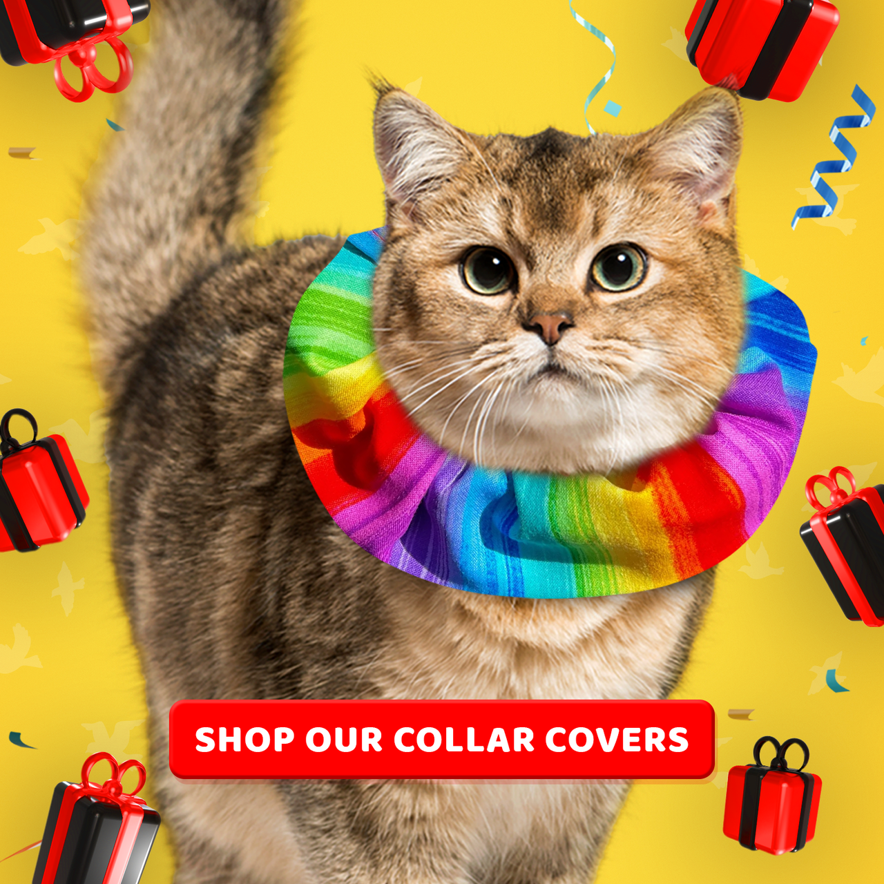Birdsbesafe Collar Covers for Black Friday and Cyber Monday