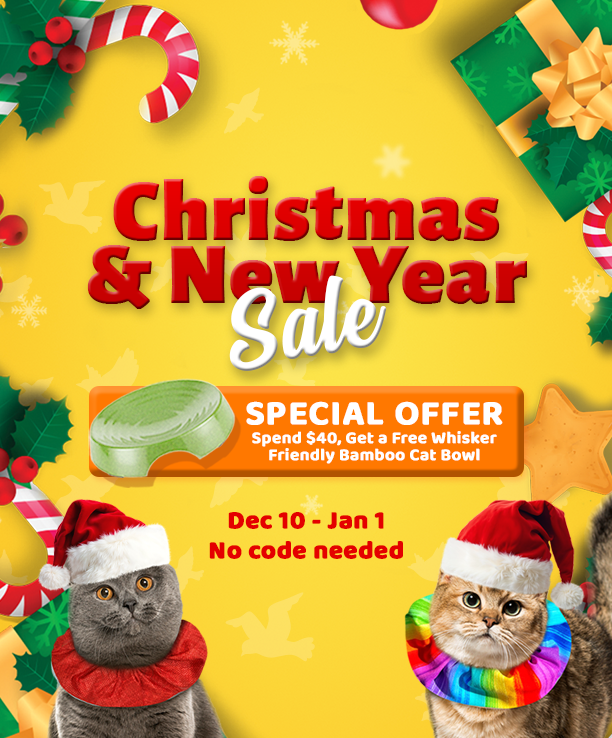 Christmas and New Year Sale: Free Whisker-Friendly Bamboo Cat Bowl for orders over $40