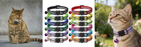 Nylon Breakaway Cat Collar + Bell | Reflective