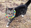 Sasha wears Puzzle Birdsbesafe cat collar cover